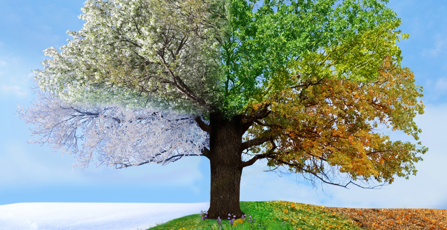 climatech-beauty climatech-beauty